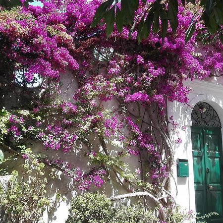 Il Gelso Apartment Anacapri  Exterior photo