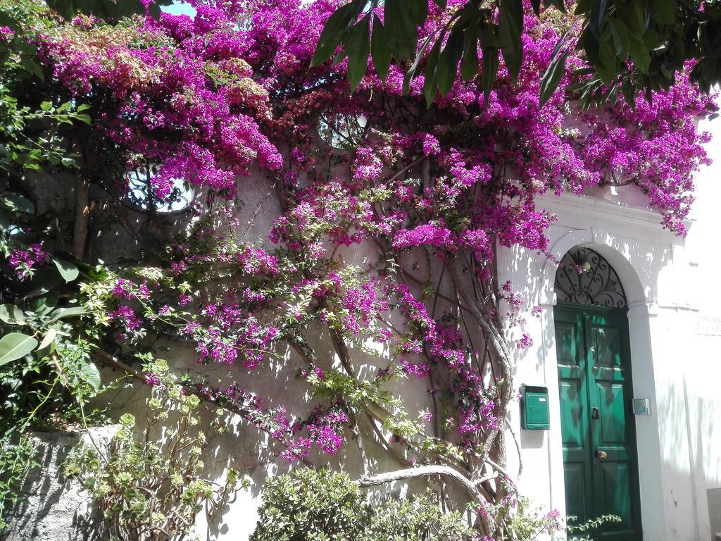 Il Gelso Apartment Anacapri  Exterior photo