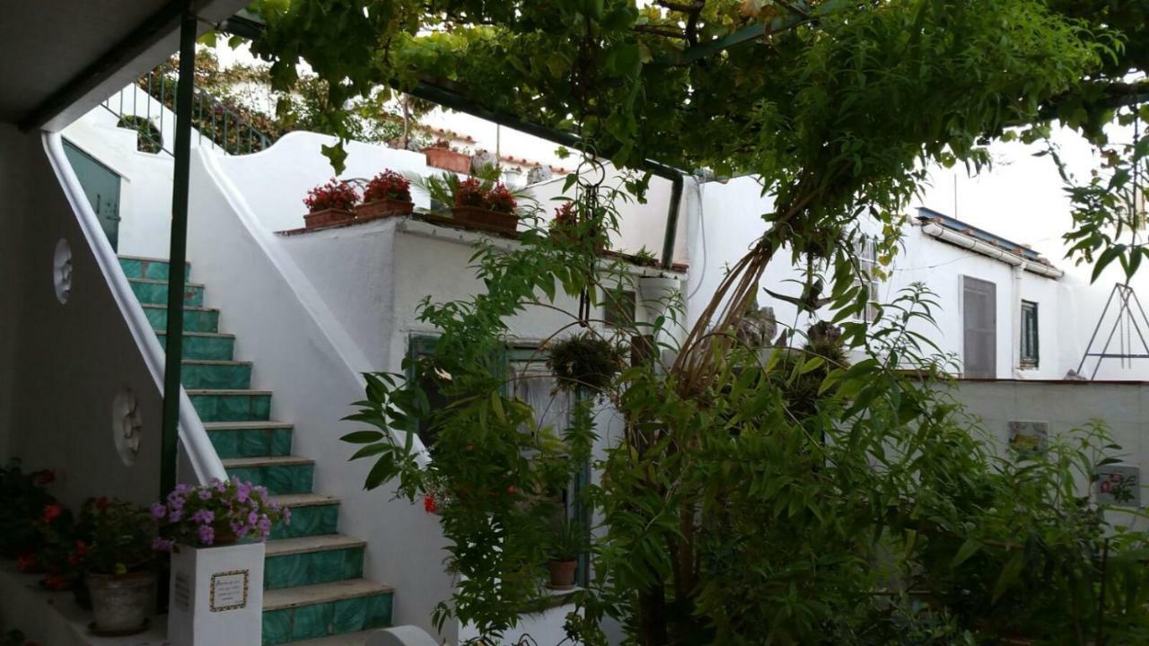 Il Gelso Apartment Anacapri  Exterior photo