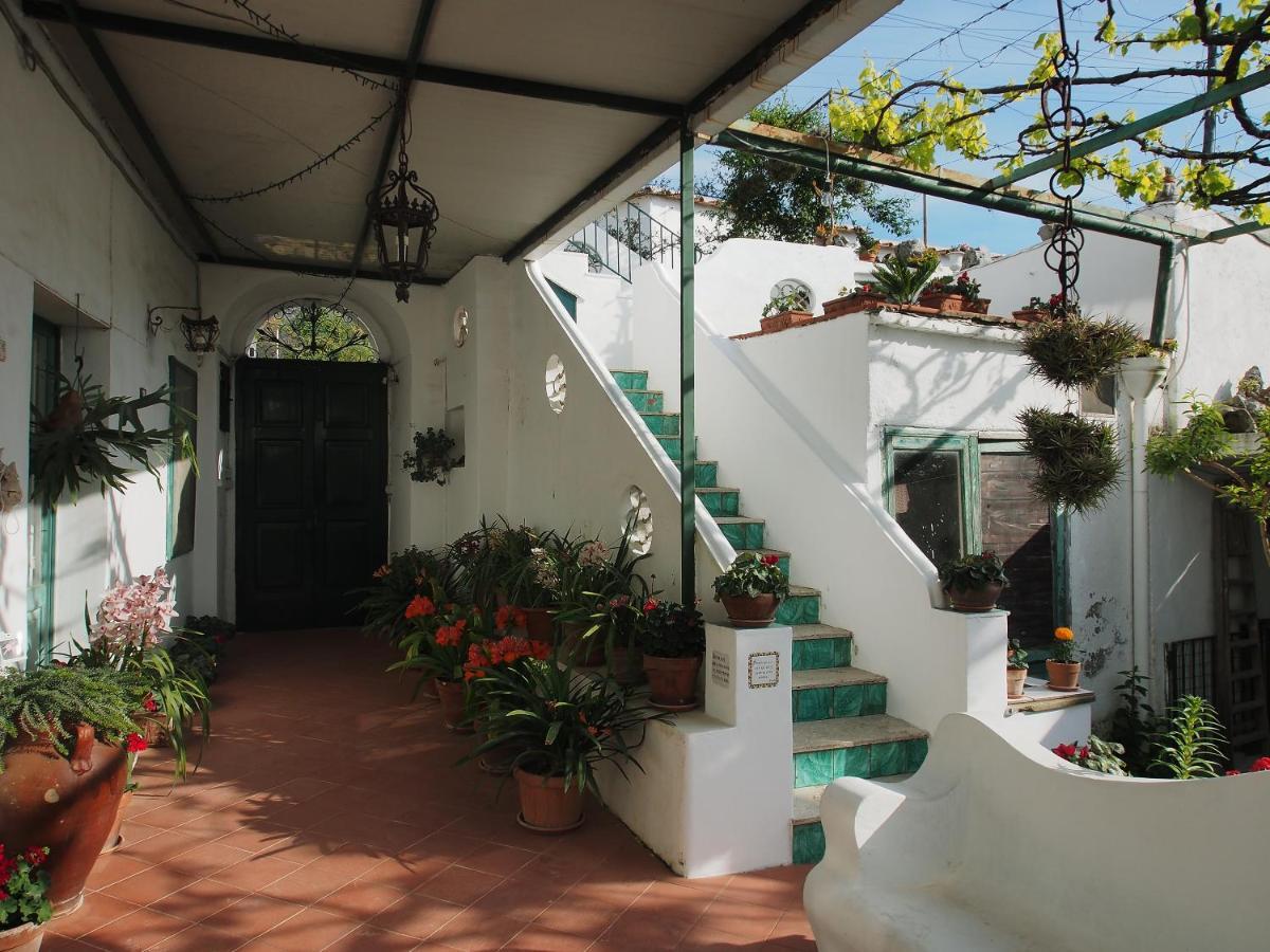 Il Gelso Apartment Anacapri  Exterior photo